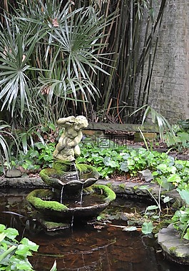 薩凡納,格魯吉亞,花園