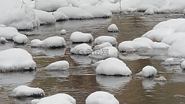 石頭,巖,石
