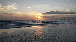 海灣,海岸,佛羅里達