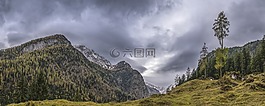 牧場,全景,大氣