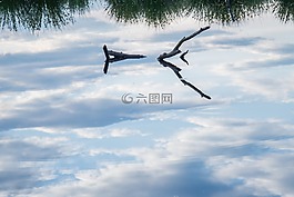 水,反思,木材
