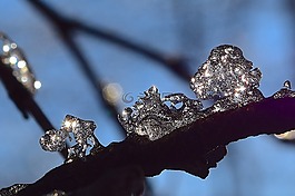 冰,水晶,枝杈