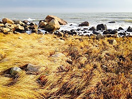 海岸線,海灘,巖