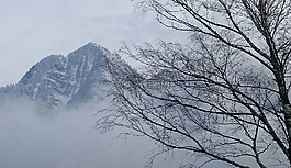早上,霧,冬季