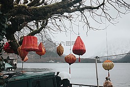 樹,湖,分支機構