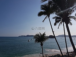 手掌,藍色,海