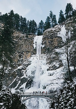 雪,冬天,白