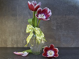 花,性質,廠