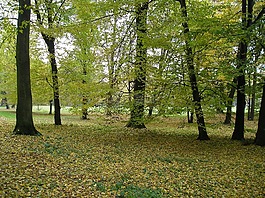 克羅梅日什,南夏都花園,性質