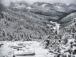 冬天,景觀,雪