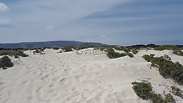 游泳池,海灘,蘭薩羅特島