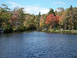運(yùn)河,全景,水