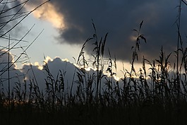 阳光,云,黑暗