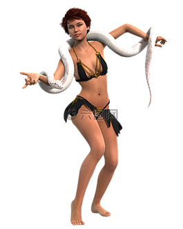 女子,amazone,蛇