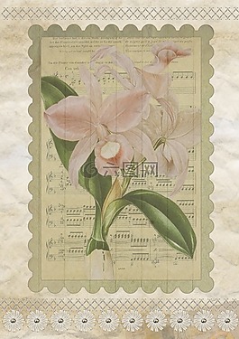 背景,釀酒,花