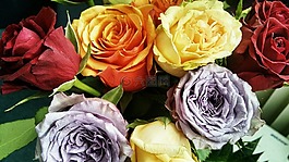 花束,玫瑰,鮮花