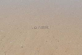 砂,海滩,桑迪海滩