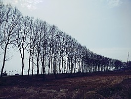 自驾游,手机照,中国
