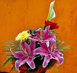 花卉,花束,顏色