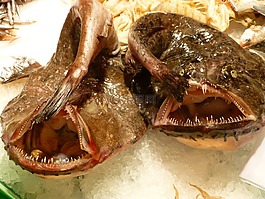 魚,食品,進(jìn)餐