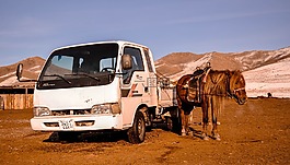 馬,車輛,車
