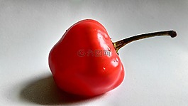 辣椒,紅色,食品