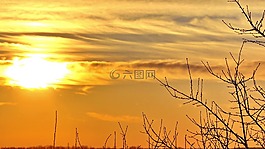 夏季,日落,黄色