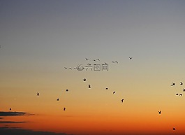 日出,日落,北海