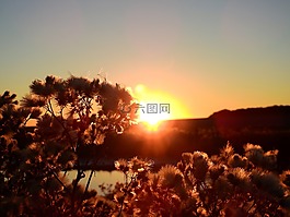 日出,日落,北海