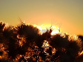 日出,日落,北海