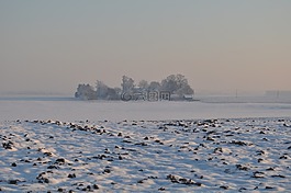 冬天,雪,景觀