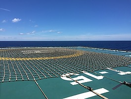离岸,海洋,海