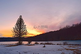 日落,湖,樹(shù)