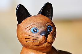 猫,katzenkopf,木猫