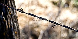 籬笆,鄉(xiāng)村,鐵絲網(wǎng)