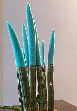 廠,綠色,性質(zhì)