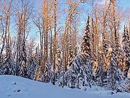 冬天,雪,藍(lán)色