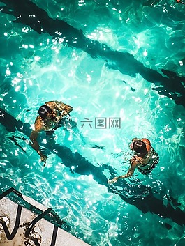 游泳,池,藍色