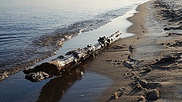 海灘,海,波羅的海