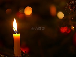 圣诞节,庆祝活动,爆发