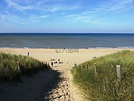 荷蘭,海灘,海岸