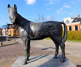 warffum,荷蘭,馬