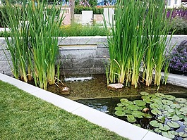 國家園林展,于迪,花園設(shè)計