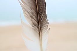 鋼筆,海灘,天空