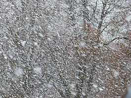 暴風(fēng)雪,雪亂舞,雪花
