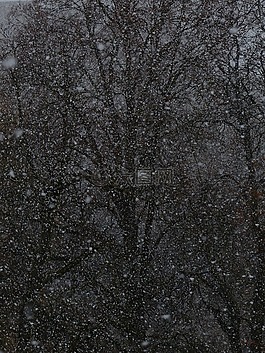 暴風(fēng)雪,雪亂舞,雪花