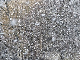 暴風雪,雪亂舞,雪花