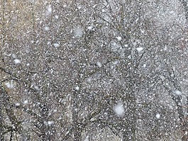 暴風雪,雪亂舞,雪花