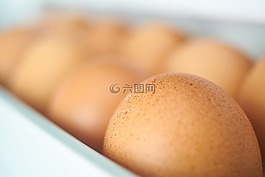 廚房,蛋,新鮮