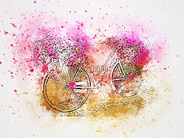 自行车,鲜花,粉红色